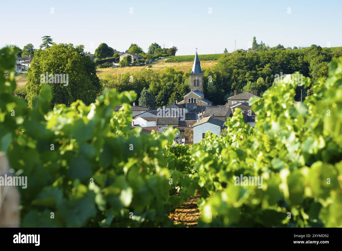 Village de Saint Julien et raod en Beaujolais, France, Europe Banque D'Images