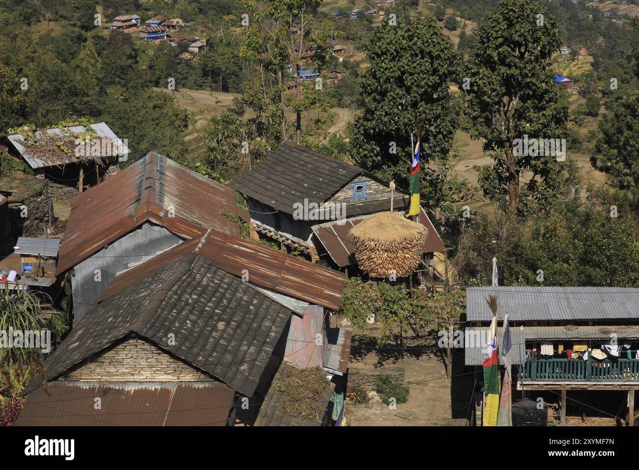 Maïs sur l'épi stocké devant une ferme au Népal. Scène près de Bhulbhule, zone de conservation de l'Annapurna Banque D'Images Maïs sur l'épi stocké devant une ferme au Népal. Scène près de Bhulbhule, zone de conservation de l'Annapurna Banque D'Images