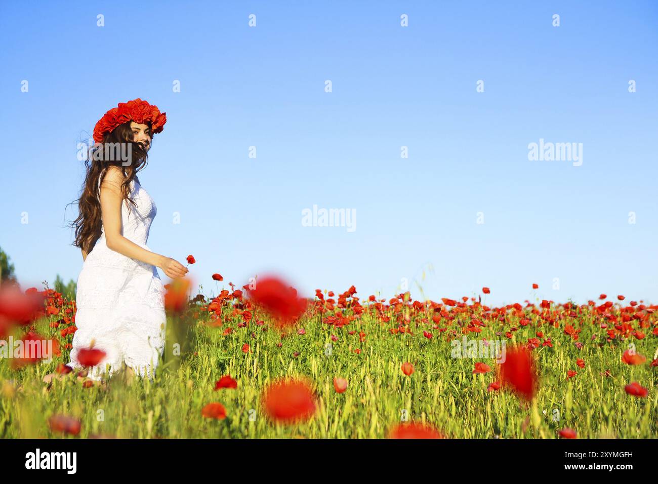 Young happy smiling woman in champ de coquelicots Banque D'Images Young happy smiling woman in champ de coquelicots Banque D'Images