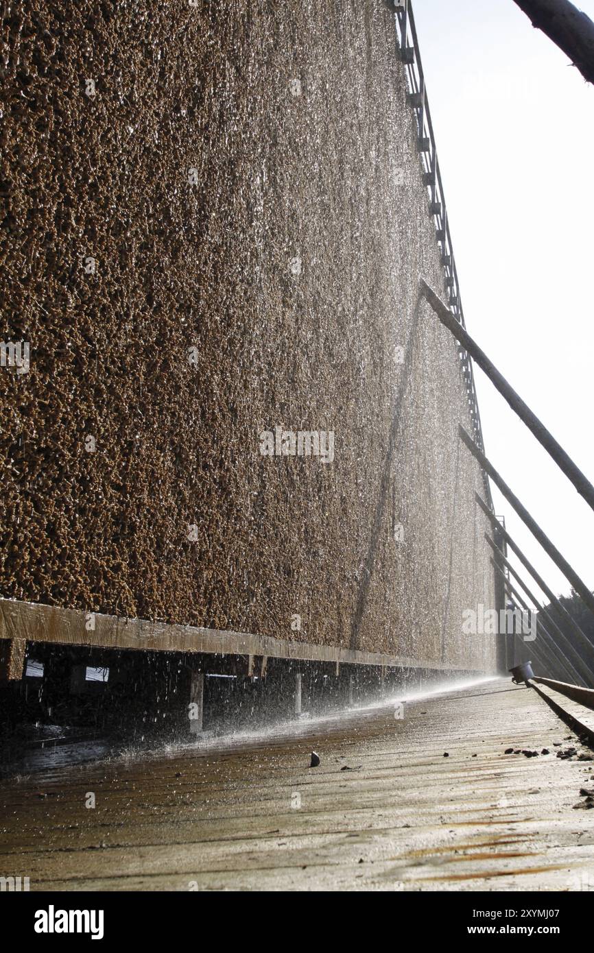Maison de remise des diplômes à Bad Salzuflen Banque D'Images
