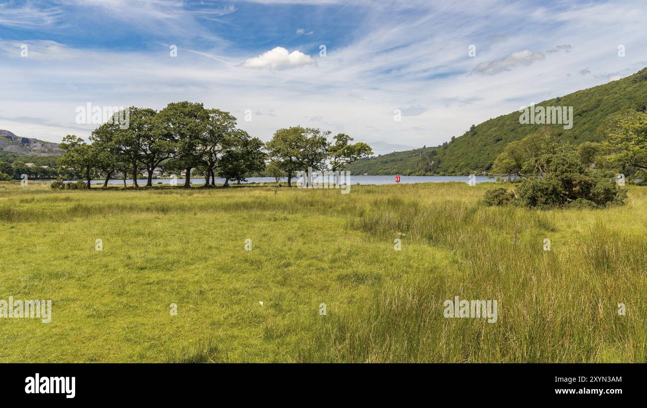 Vue sur Llyn Padarn du Llanberis, Snowdonia, Gwynedd, Pays de Galles, Royaume-Uni Banque D'Images