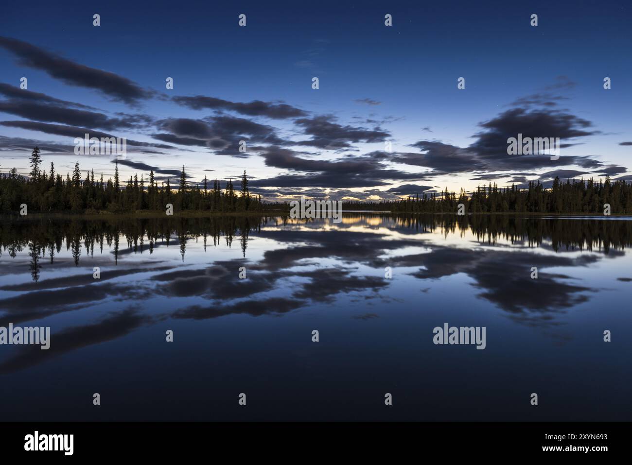 Nuit au clair de lune, réserve naturelle de Sjaunja, site du patrimoine mondial de Laponie, Norrbotten, Laponie, Suède, août 2015, Europe Banque D'Images