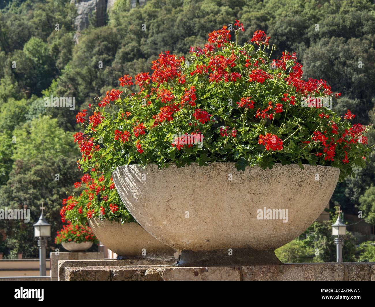 Pot de fleurs plus grand et plus petit sur un mur de pierre avec des fleurs rouges sur un fond vert, montserrat, espagne Banque D'Images