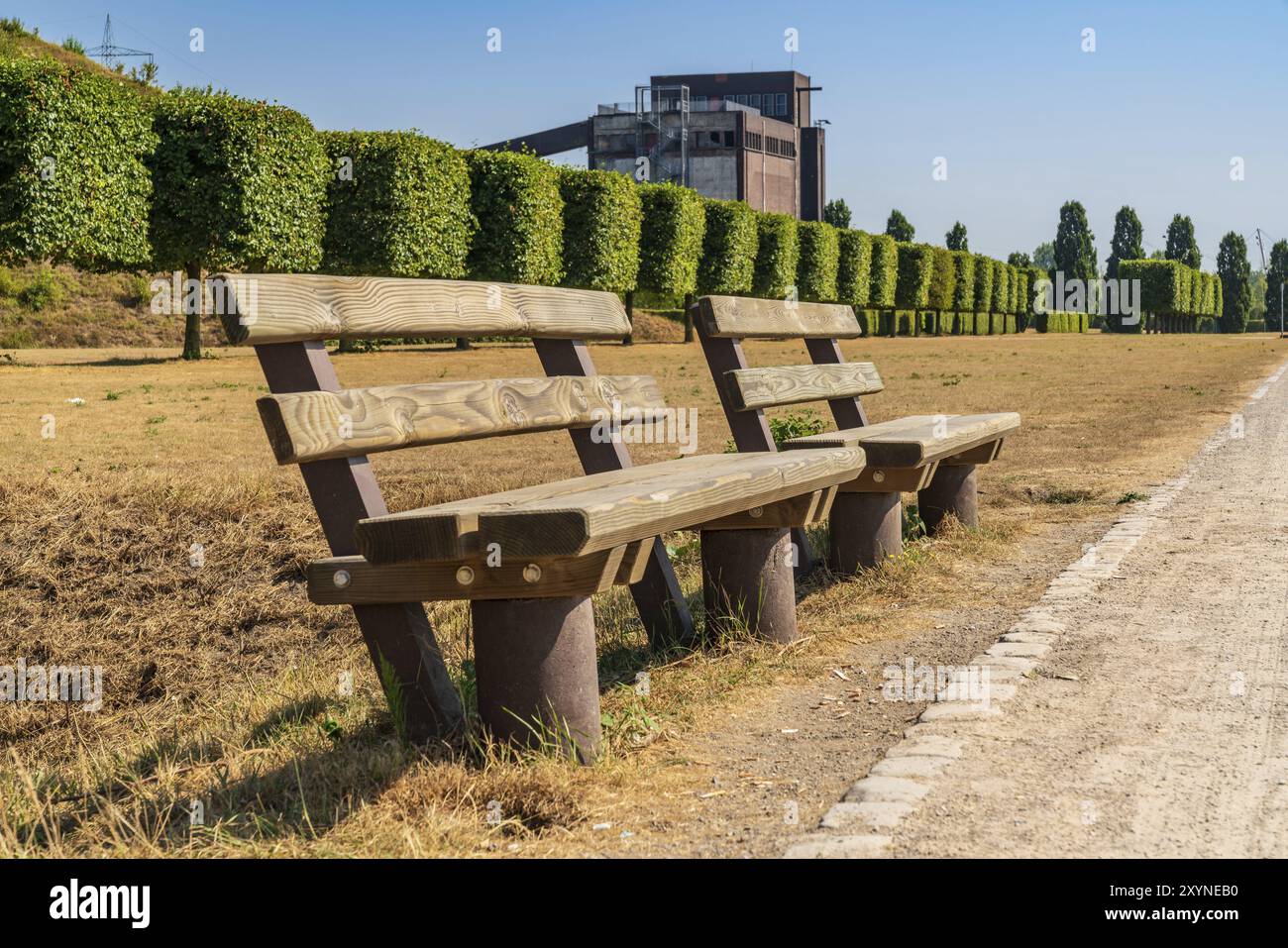 Bancs près d'un pré parché, avec la ruine d'un vieux bunker de charbon en arrière-plan, vu dans le Nordsternpark, Gelsenkirchen, Rhénanie-du-Nord-Westfalia, Banque D'Images