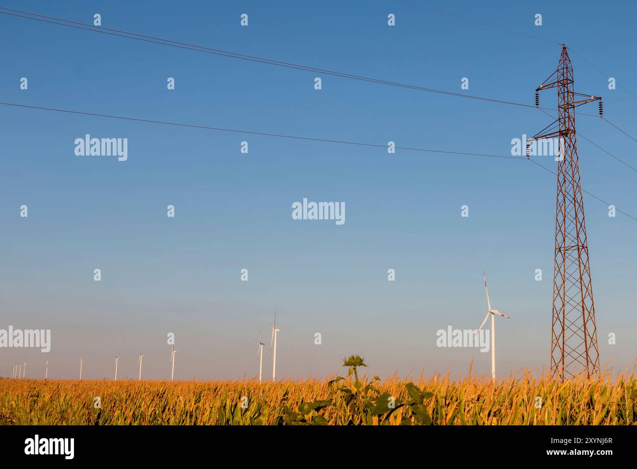 Lignes électriques à haute tension au coucher du soleil. À l'avenir - rareté de l'électricité. En raison des prix élevés, les gens désespérés n'ont pas d'argent pour payer l'électricité Banque D'Images