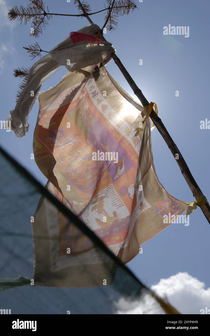 Un drapeau de prière à Thrumshingla, passer la frontière entre le centre et l'est du Bhoutan Banque D'Images