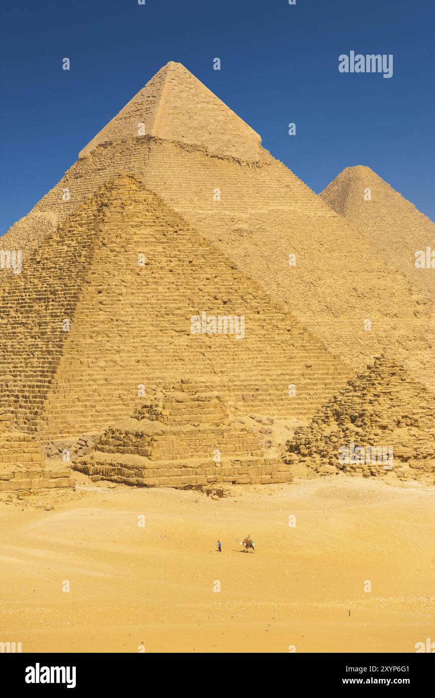 Un touriste à dos de chameau passe devant la base des grandes pyramides à Gizeh montrant l'échelle relative des structures au Caire, en Egypte, en Afrique Banque D'Images