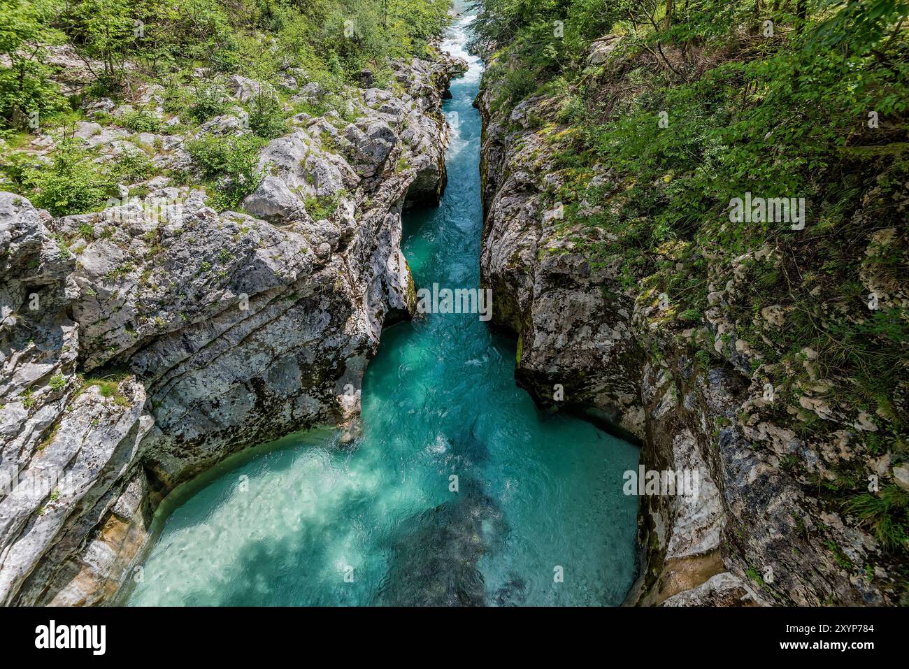 La rivière sauvage Soca coule à travers la gorge, le parc national du Triglav, la vallée de Soca, Slovénie, Europe Banque D'Images