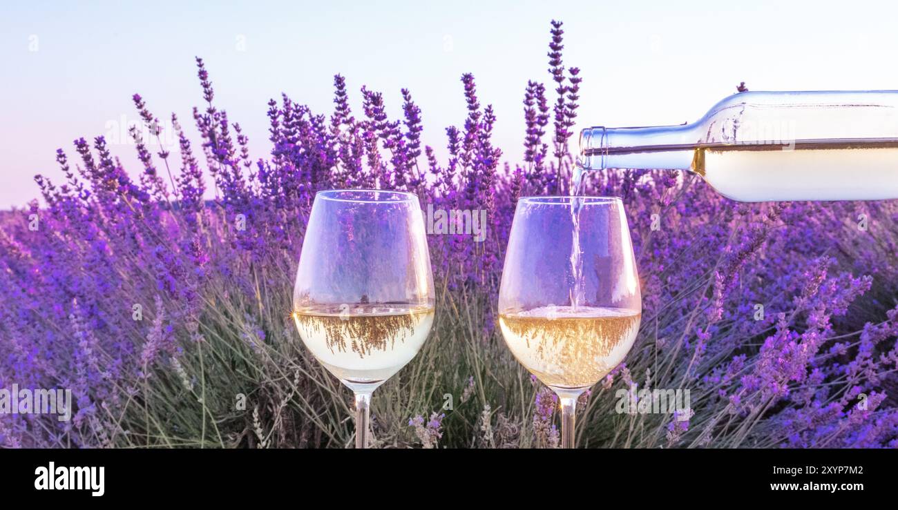 Vin lavande panorama. Vin blanc versé d'une bouteille dans des verres contre un champ lavande background Banque D'Images Vin lavande panorama. Vin blanc versé d'une bouteille dans des verres contre un champ lavande background Banque D'Images