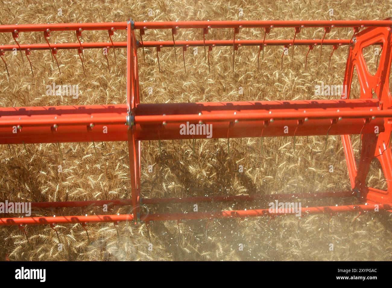 Faucheuse d'une moissonneuse-batteuse Banque D'Images