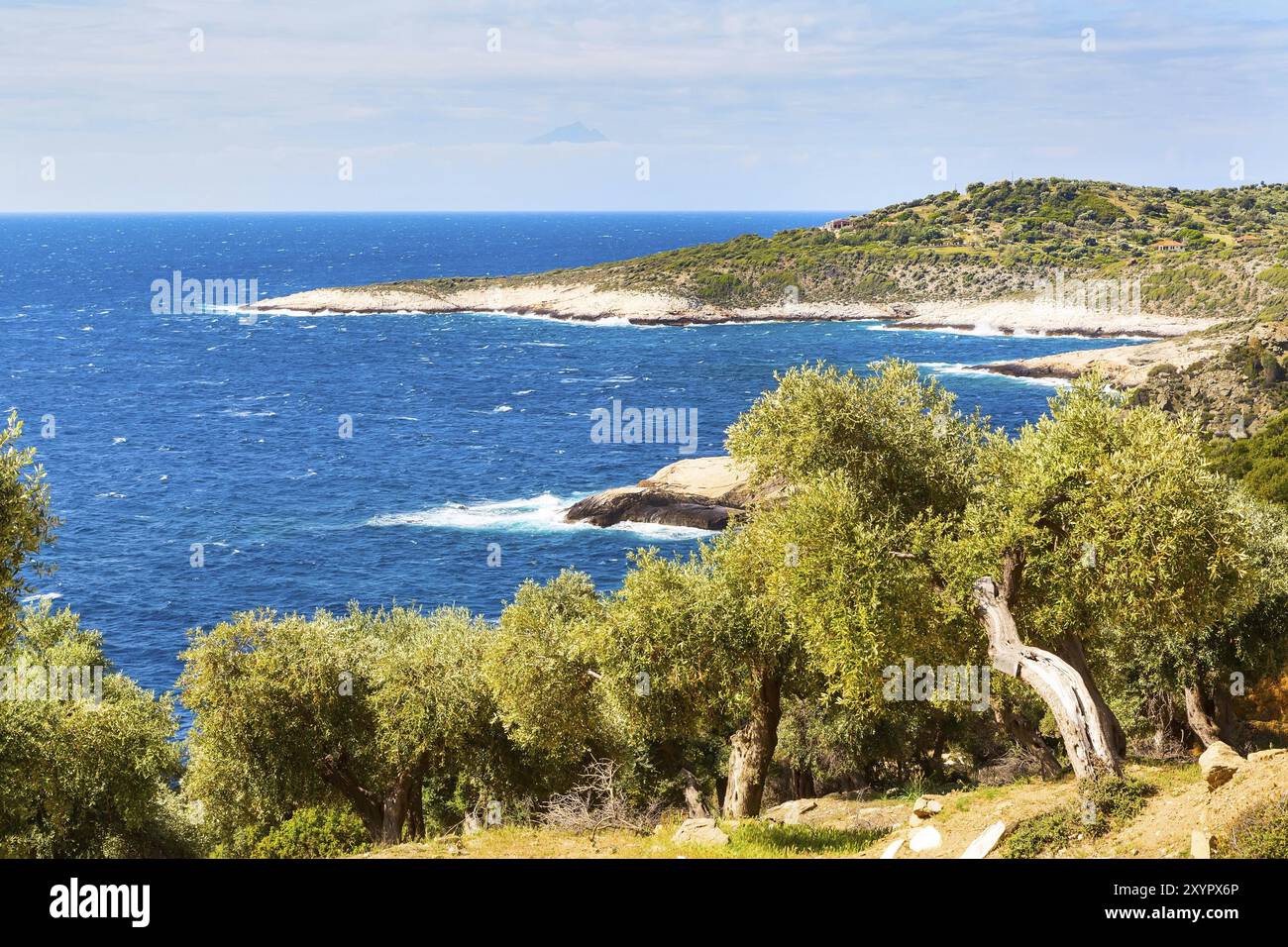 Fond de vacances d'été avec l'île grecque Thasos, les oliviers et l'eau de mer, le mont Athos, Grèce, Europe Banque D'Images