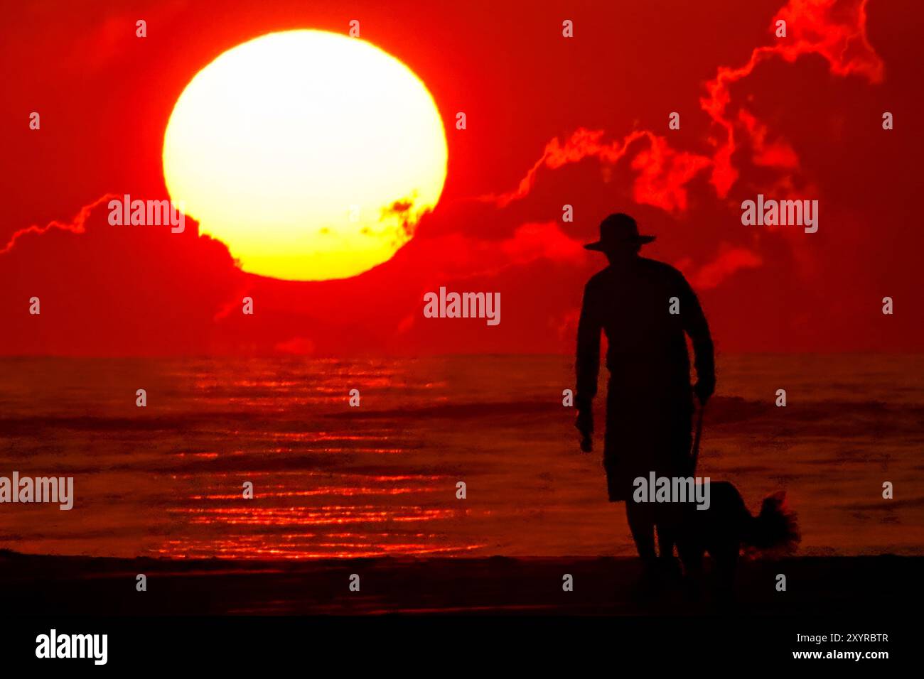 Île de Palms, États-Unis. 30 août 2024. Un homme promène son chien le long de la plage dessinée par le soleil alors qu'elle se lève au-dessus de l'horizon de l'océan Atlantique à Wild Dunes, le 30 août 2024 à Isle of Palms, Caroline du Sud. Crédit : Richard Ellis/Richard Ellis/Alamy Live News Banque D'Images