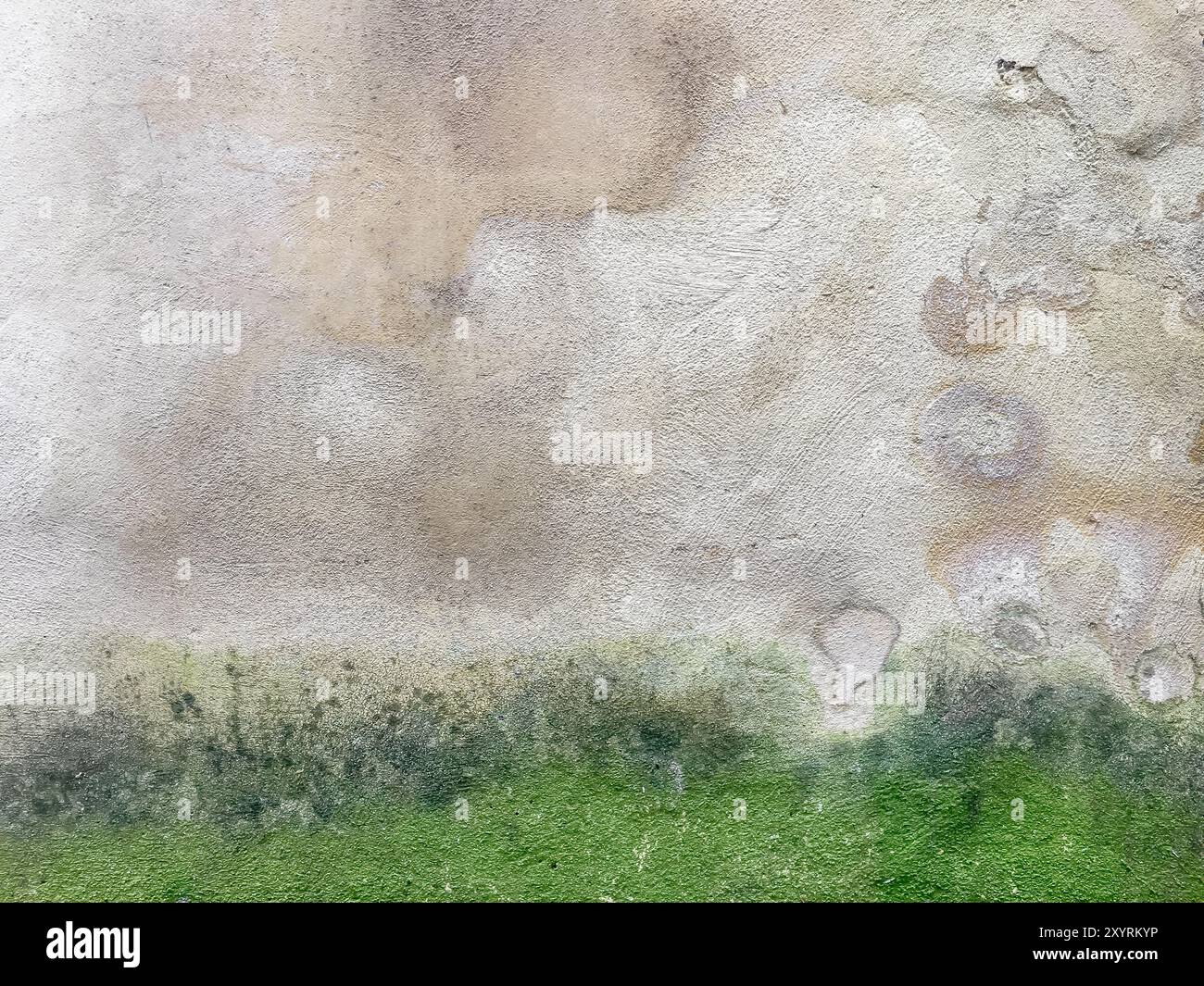 Mur endommagé par l'humidité, la moisissure, la mousse. Mauvaises conditions de vie. Le problème avec une humidité élevée, la lutte contre le champignon. Banque D'Images
