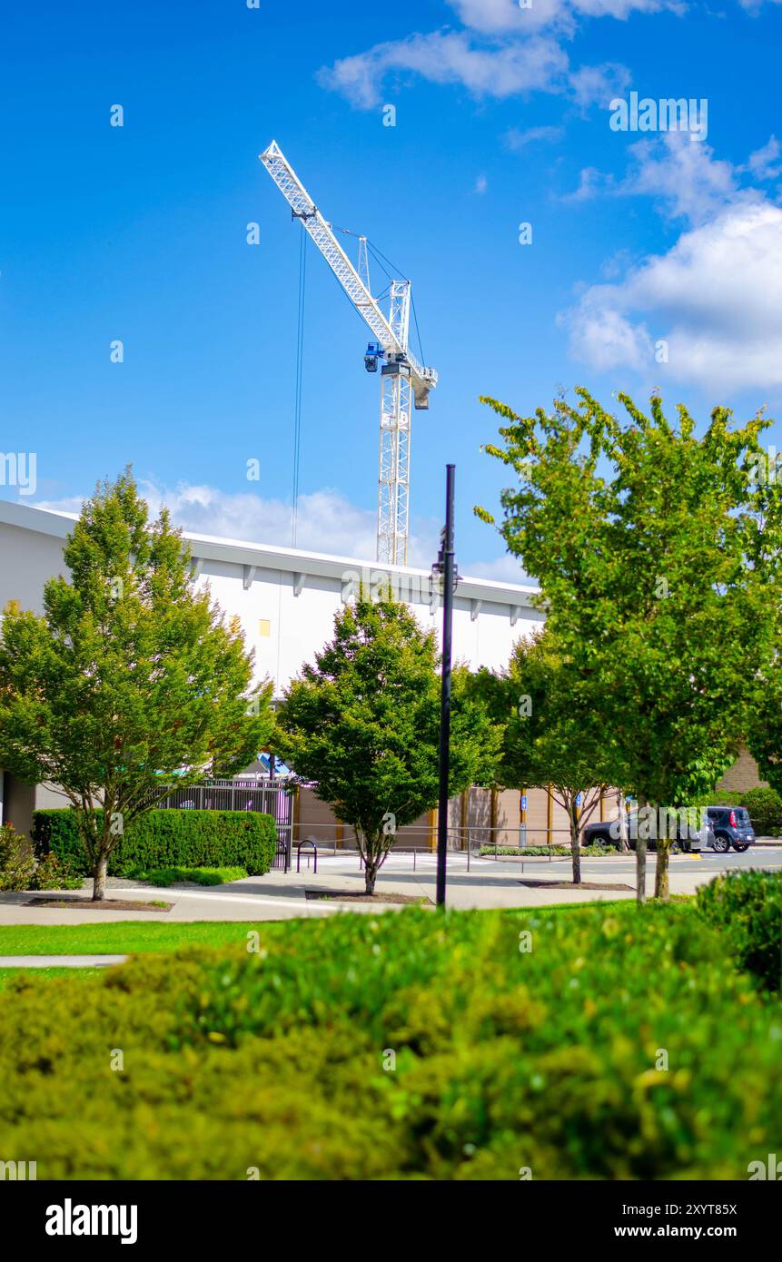 Grue de construction surplombant le parc urbain – développement moderne et espace vert Banque D'Images