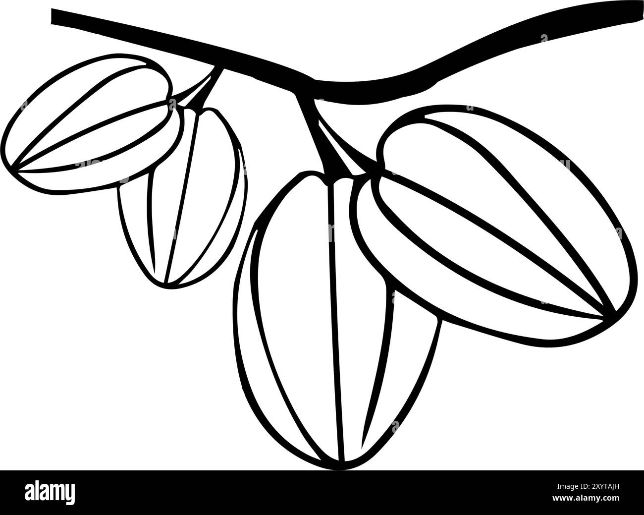illustration vectorielle d'icône de fruit d'étoile Illustration de Vecteur