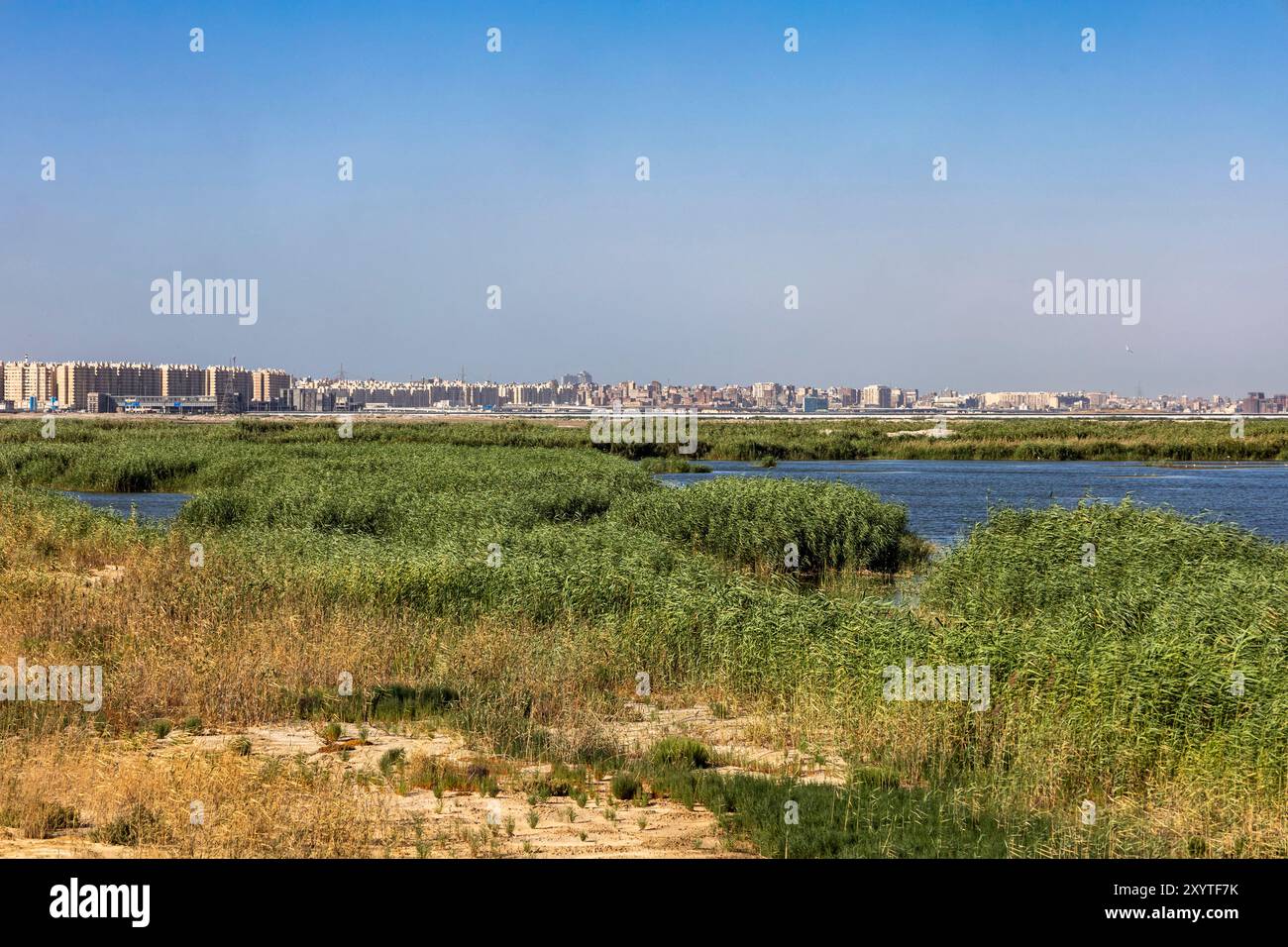 Lac Mariout (Maryut, Mariut), lac saumâtre, Alexandrie, Egypte, Afrique du Nord, Afrique Banque D'Images