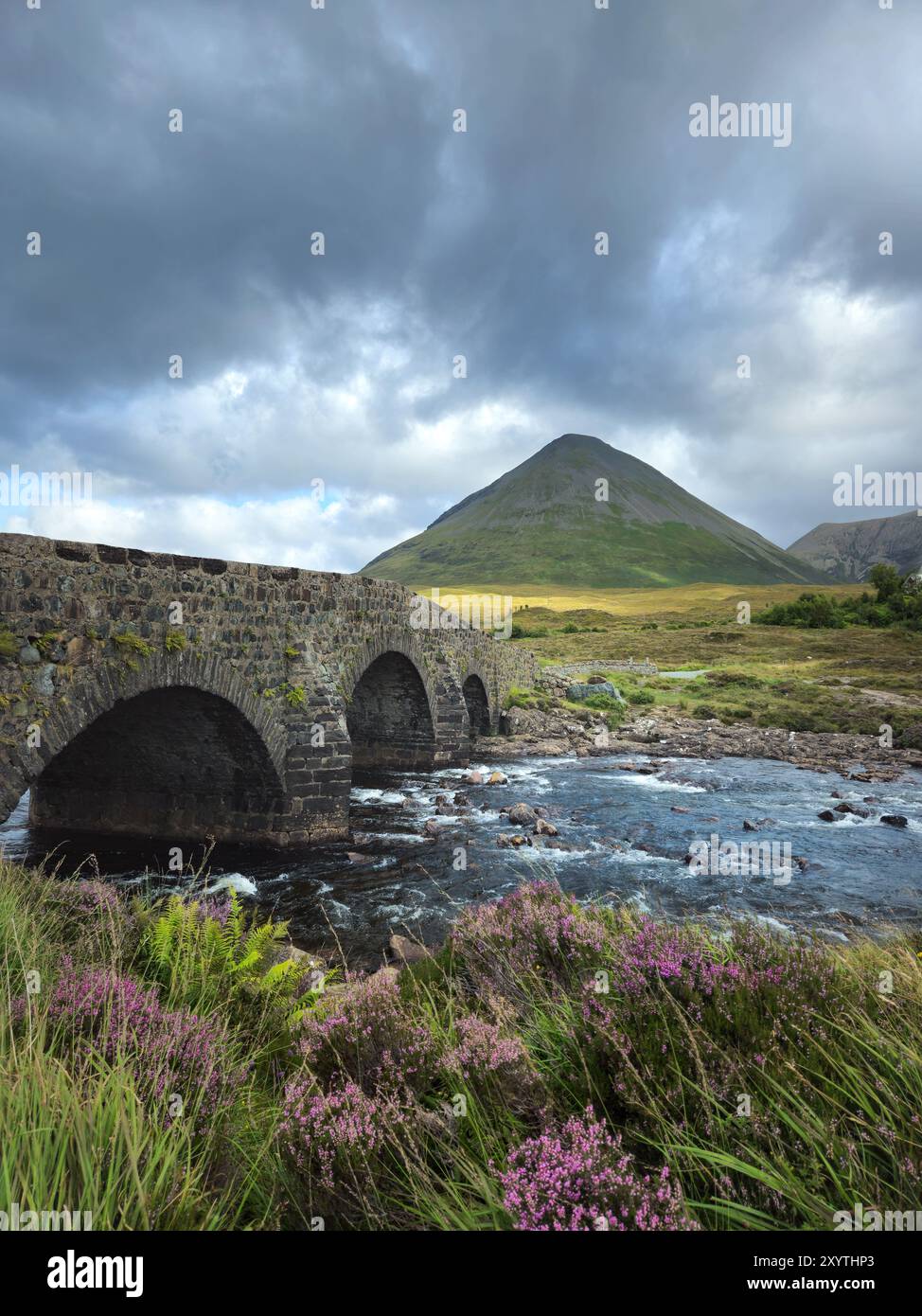 Vieux pont de Sligachan sur la rivière Sligachan sur l'île de Skye, en Écosse avec floraison de bruyère pourpre au premier plan et paysage de montagne de Glamaig en arrière-plan avec des nuages sombres Banque D'Images