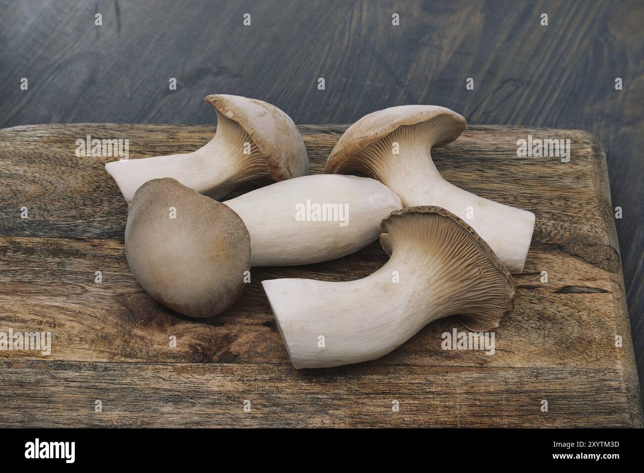 Champignons d'huîtres royales frais, varient en tailles, reposent sur une planche à découper en bois, fond gris-bleu surface en bois teinté, scène vibrante de préparations alimentaires Banque D'Images