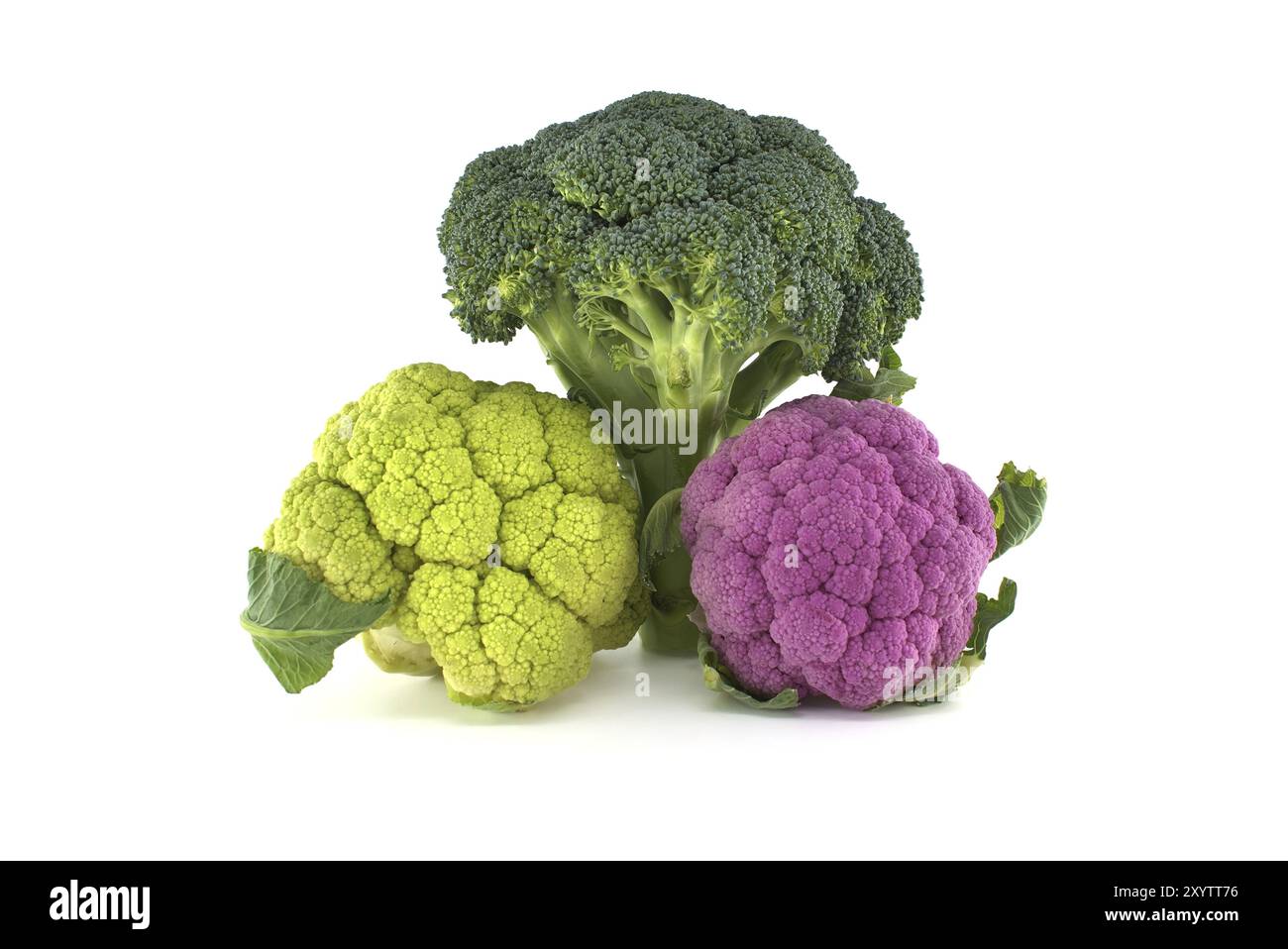 Brocoli frais et chou-fleur coloré isolés sur fond blanc. Concept d'alimentation saine Banque D'Images