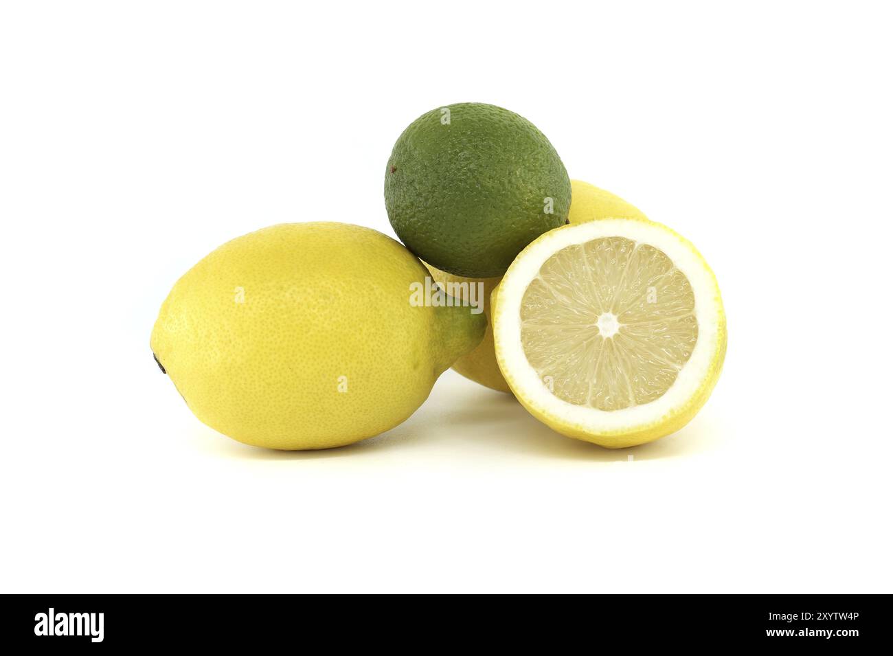Citrons jaunes vibrants et citron vert créant un contraste visuel lumineux et vif isolé sur fond blanc Banque D'Images