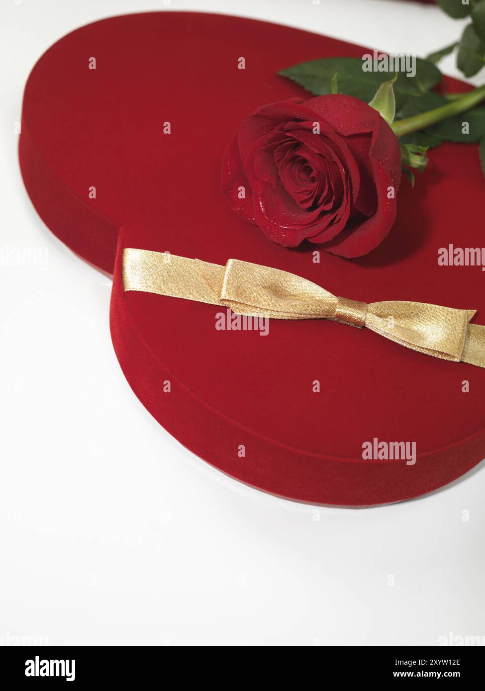 Red Heart-shaped gift box et une rose rouge isolé sur fond blanc Banque D'Images