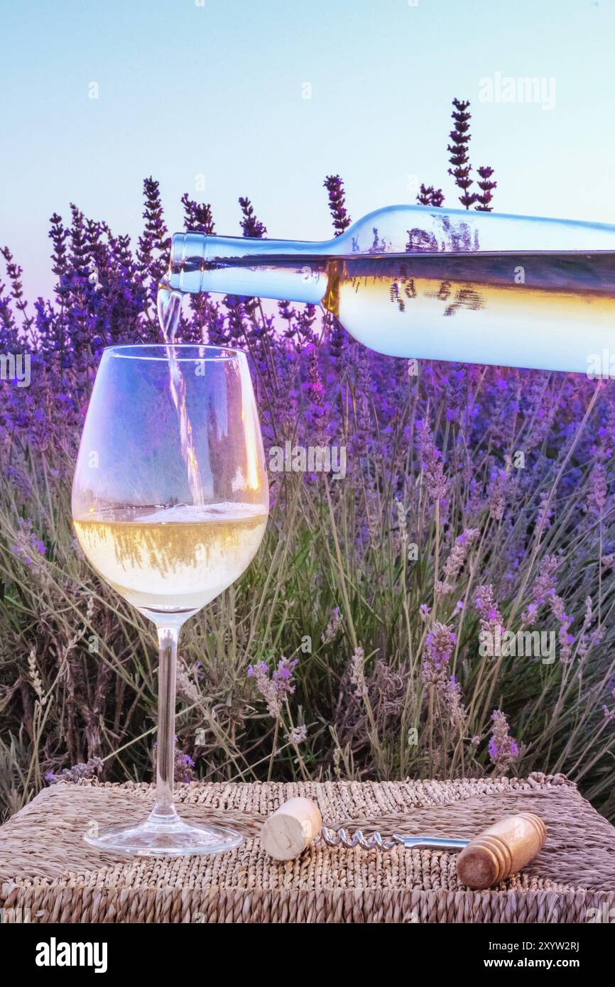 Vin blanc versé dans un verre contre un champ de lavande Banque D'Images Vin blanc versé dans un verre contre un champ de lavande Banque D'Images
