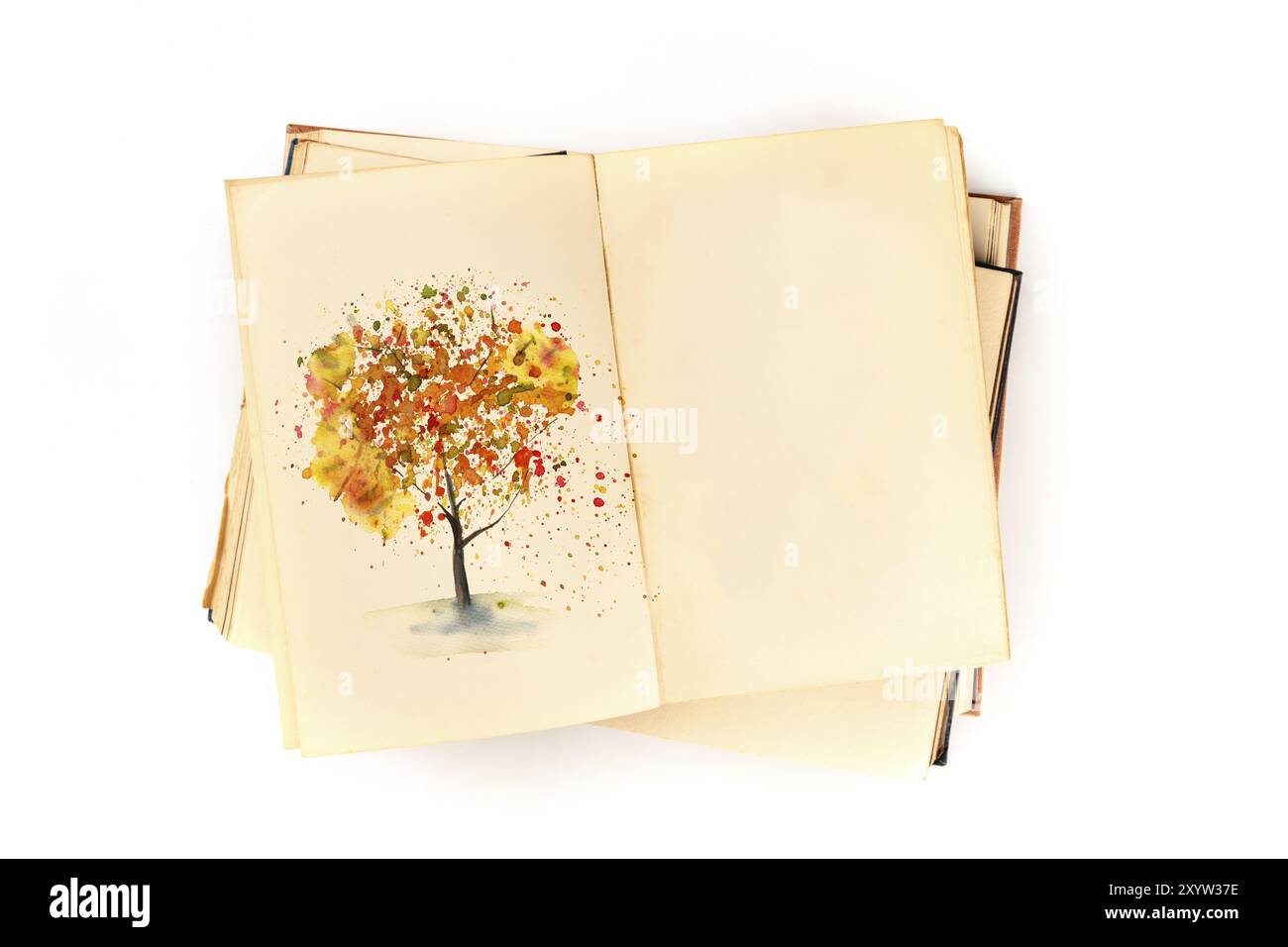 Modèle de conception d'automne. Un journal botanique ouvert avec un dessin aquarelle d'un arbre d'automne. Un livre sur la maquette d'études de la nature, tourné d'en haut sur un wh Banque D'Images