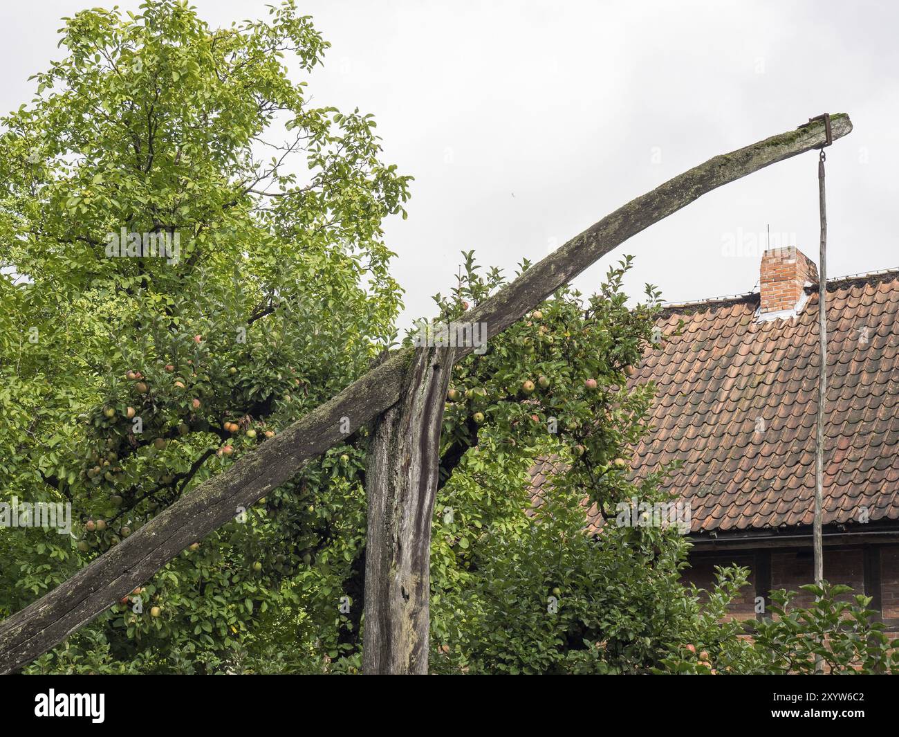 Jardin avec un vieux puit et un pommier à côté d'une maison, Bad Zwischenahn, ammerland, allemagne Banque D'Images