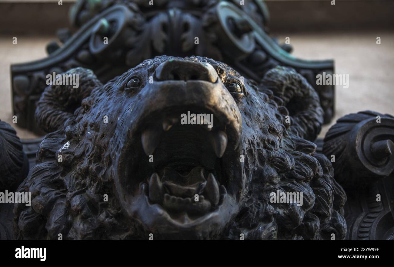 Tête d'un ours rugissant Banque D'Images