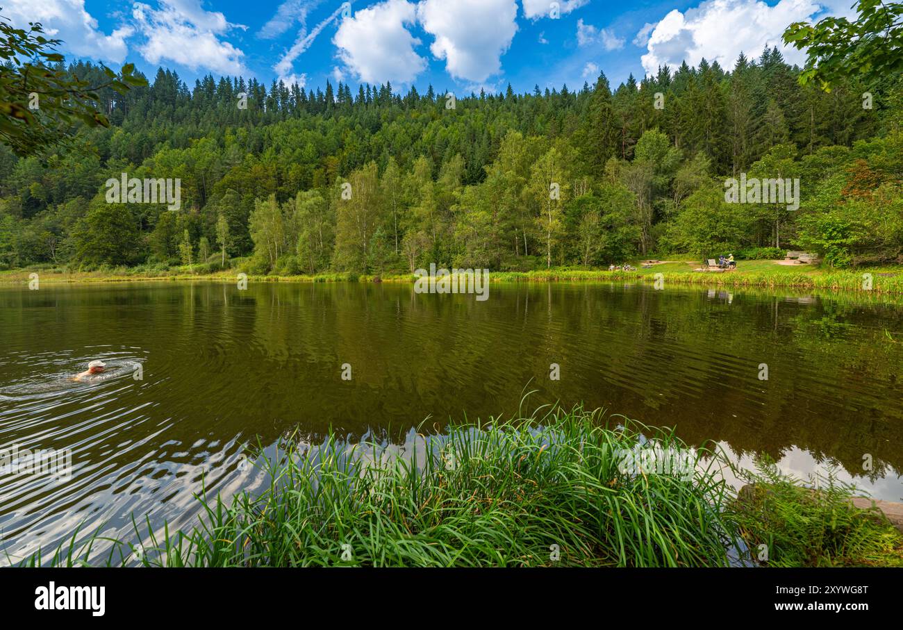 Vue sur le lac Sankenbachsee près de Baiersbronn, Forêt Noire, Allemagne, Europe Banque D'Images