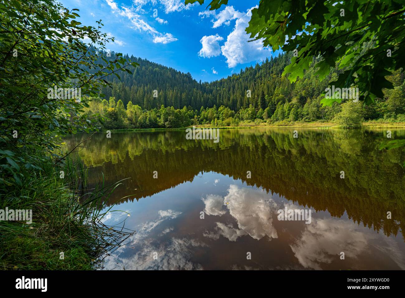 Vue sur le lac Sankenbachsee près de Baiersbronn, Forêt Noire, Allemagne, Europe Banque D'Images