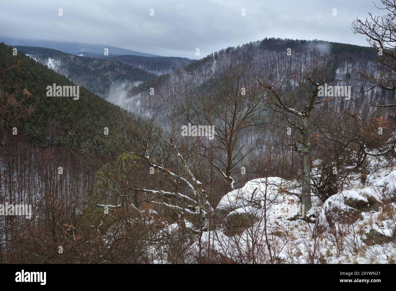 Vue sur les montagnes du Harz si brouillard hivernal, Allemagne, Europe Banque D'Images