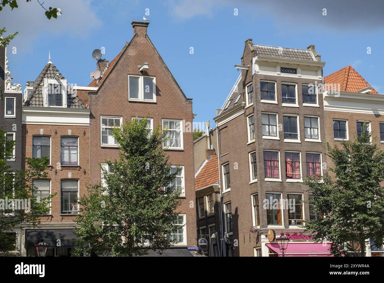 Rangée de maisons urbaines avec fenêtres et arbres simples devant un ciel bleu, Amsterdam, pays-Bas Banque D'Images