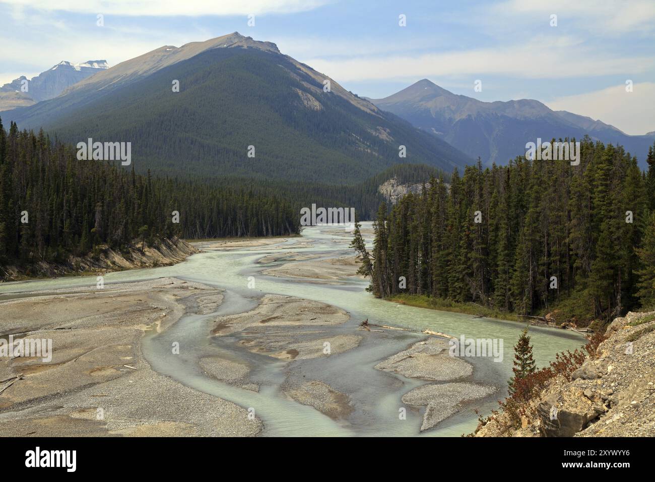 Paysage de la rivière canadienne Banque D'Images