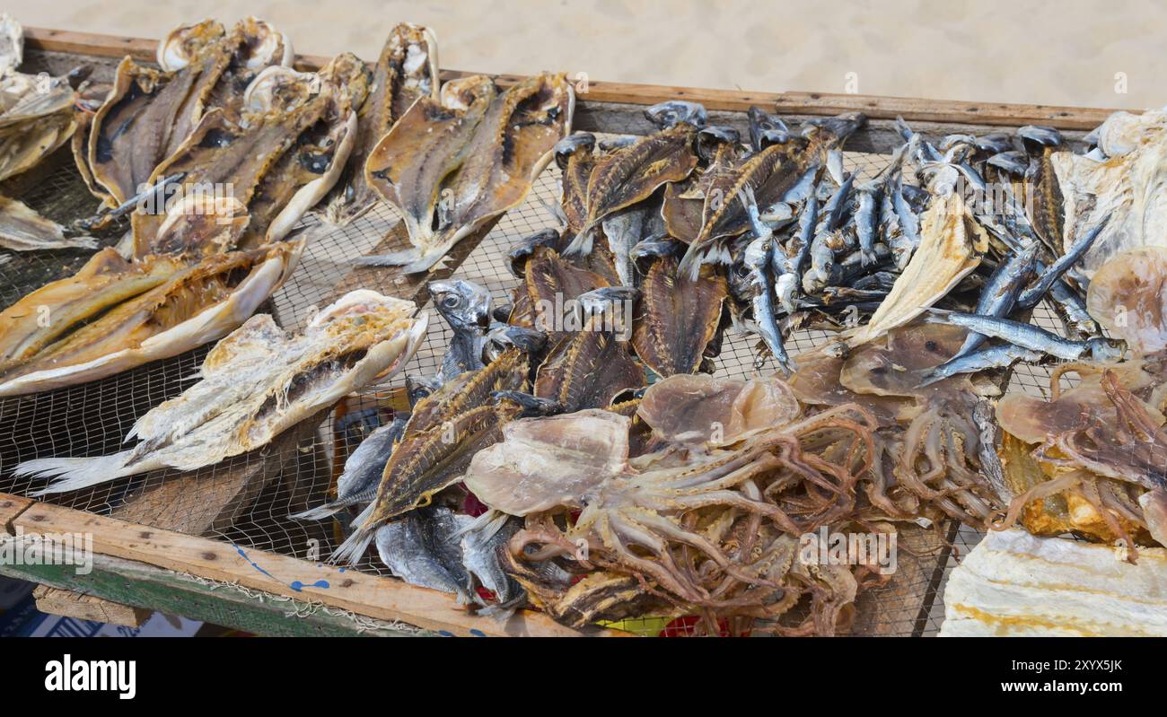Un casier en bois avec du poisson séché de différentes variétés sur la plage, séchage du poisson, plage Praia da Nazare, Nazare, Oeste, Leiria district, Centro, Portuga Banque D'Images