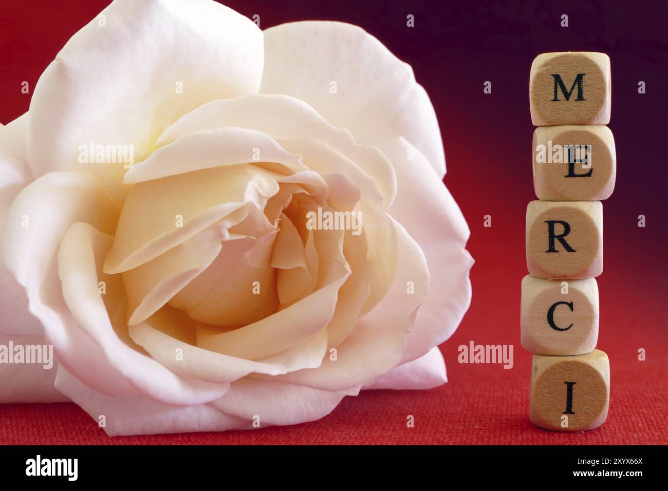 Message Merci, mot français, qui signifie merci, écrit dans des blocs de bois, rose pastel, fond rouge Banque D'Images
