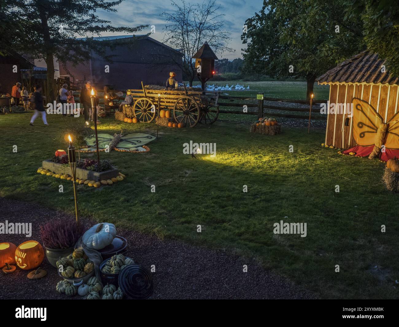 Vaste jardin avec décorations de fête de la récolte, lanternes et gens la nuit, borken, muensterland, Allemagne, Europe Banque D'Images