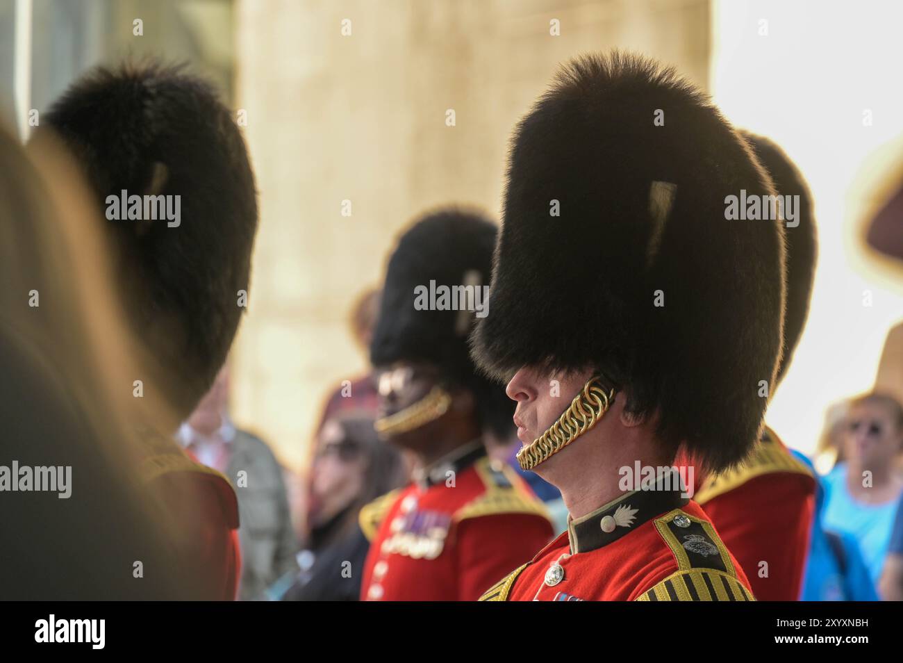 Grenadier Guards Banque De Photographies Et D images Haute R solution grenadier-guards-banque-de-photographies-et-d-images-haute-r-solution