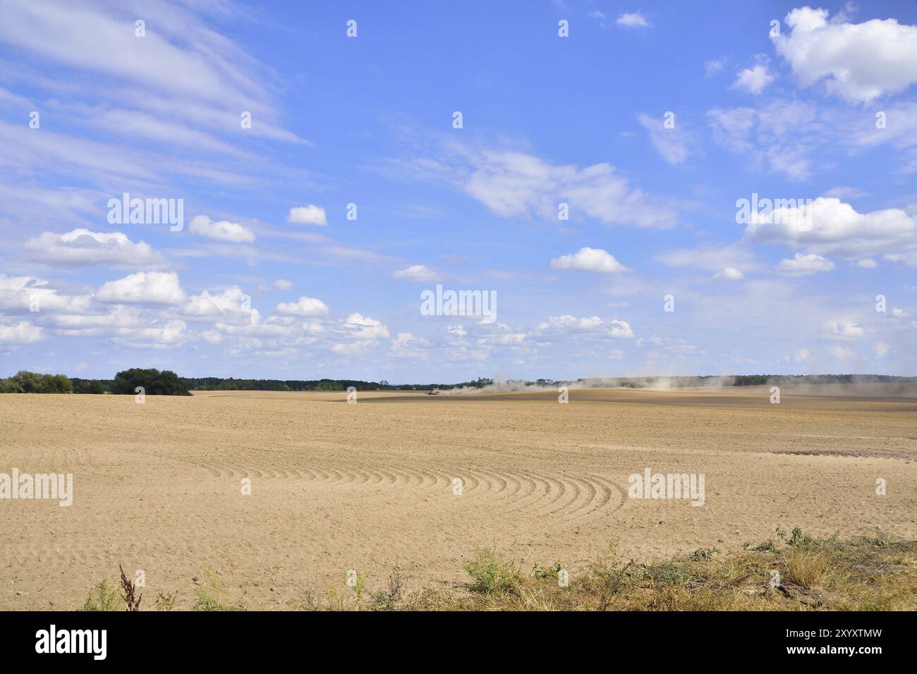 Tracteur sur champ sec Banque D'Images