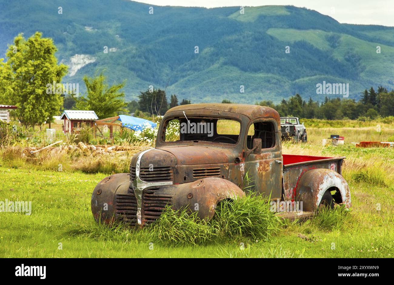 Vintage Pickup dans un pré à Washington USA Banque D'Images