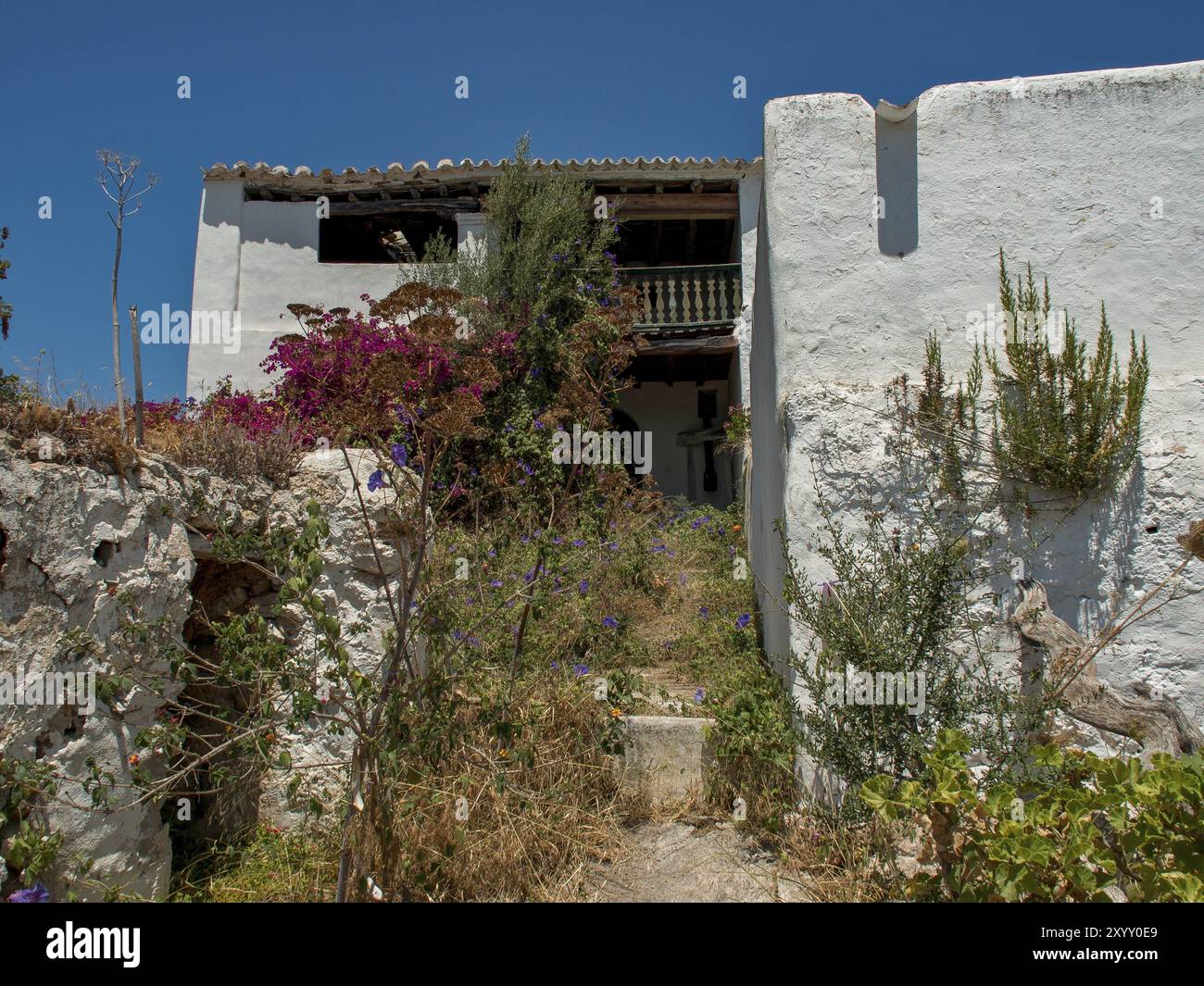 Bâtiment abandonné avec jardin envahi et plantes à fleurs sous un ciel clair, ibiza, mer méditerranée, espagne Banque D'Images
