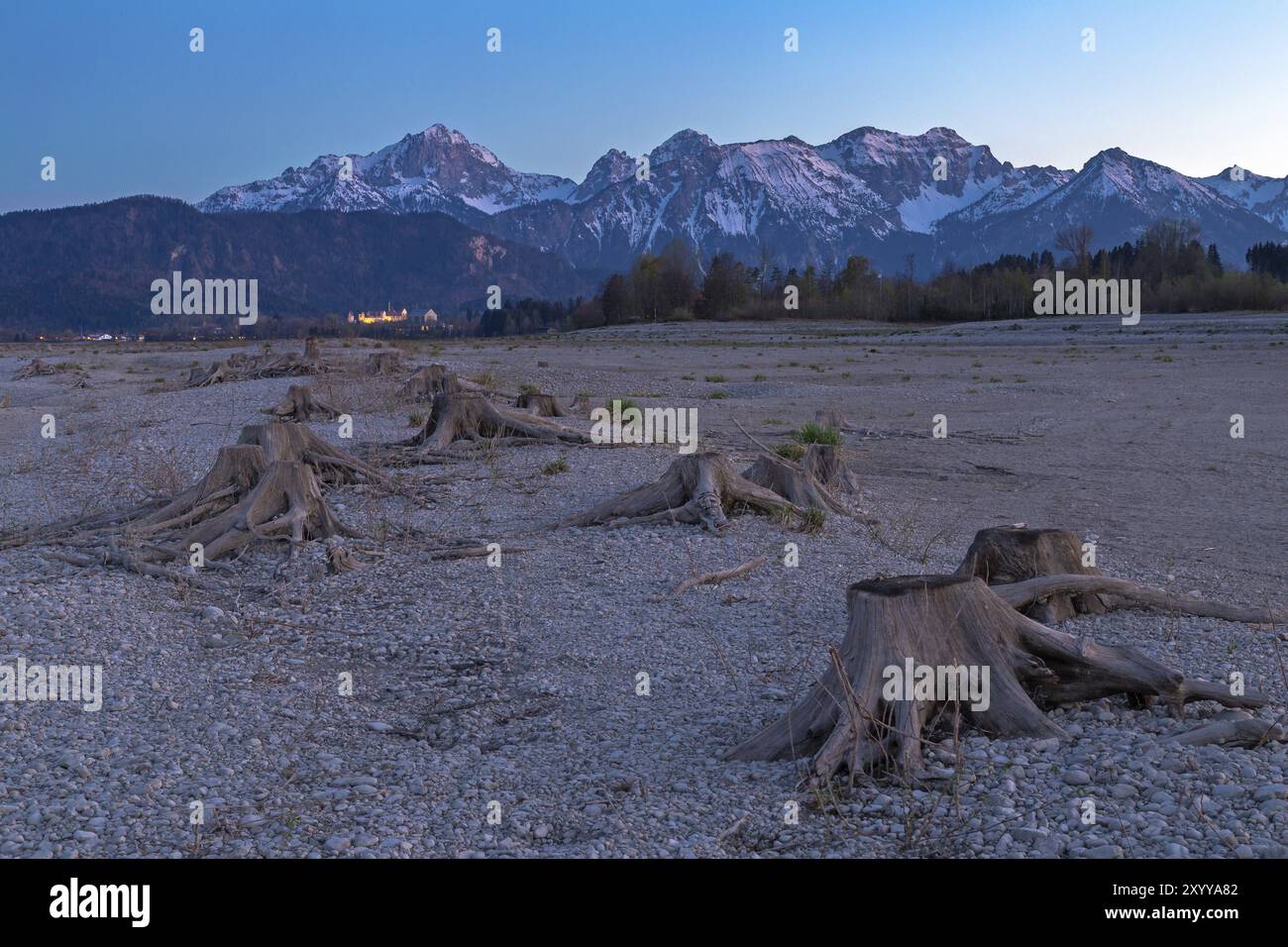 Souche d'arbre dans le Forggensee séché après le coucher du soleil avec vue sur Fuessen Banque D'Images