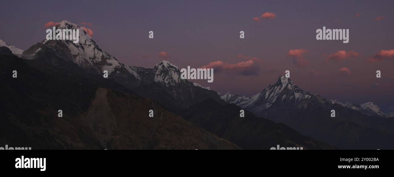 Vue sur le coucher du soleil depuis la colline de Muldhai, zone de conservation de l'Annapurna. Ciel rose sur le mont Annapurna Sud, Hiun Chuli et Machapuchare Banque D'Images