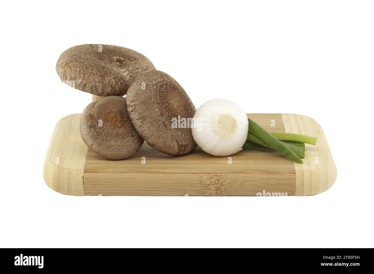 Champignons shiitake frais, divers oignons sur une planche à découper en bois isolée sur fond blanc. Recettes de champignons et herbes médicinales Banque D'Images