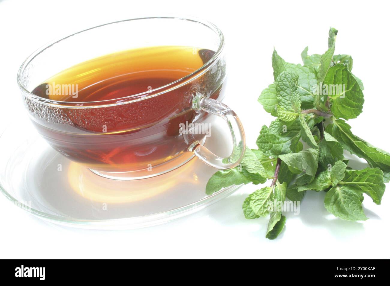 Tasse à thé avec du thé à la menthe poivrée et de la menthe fraîche sur fond blanc Banque D'Images