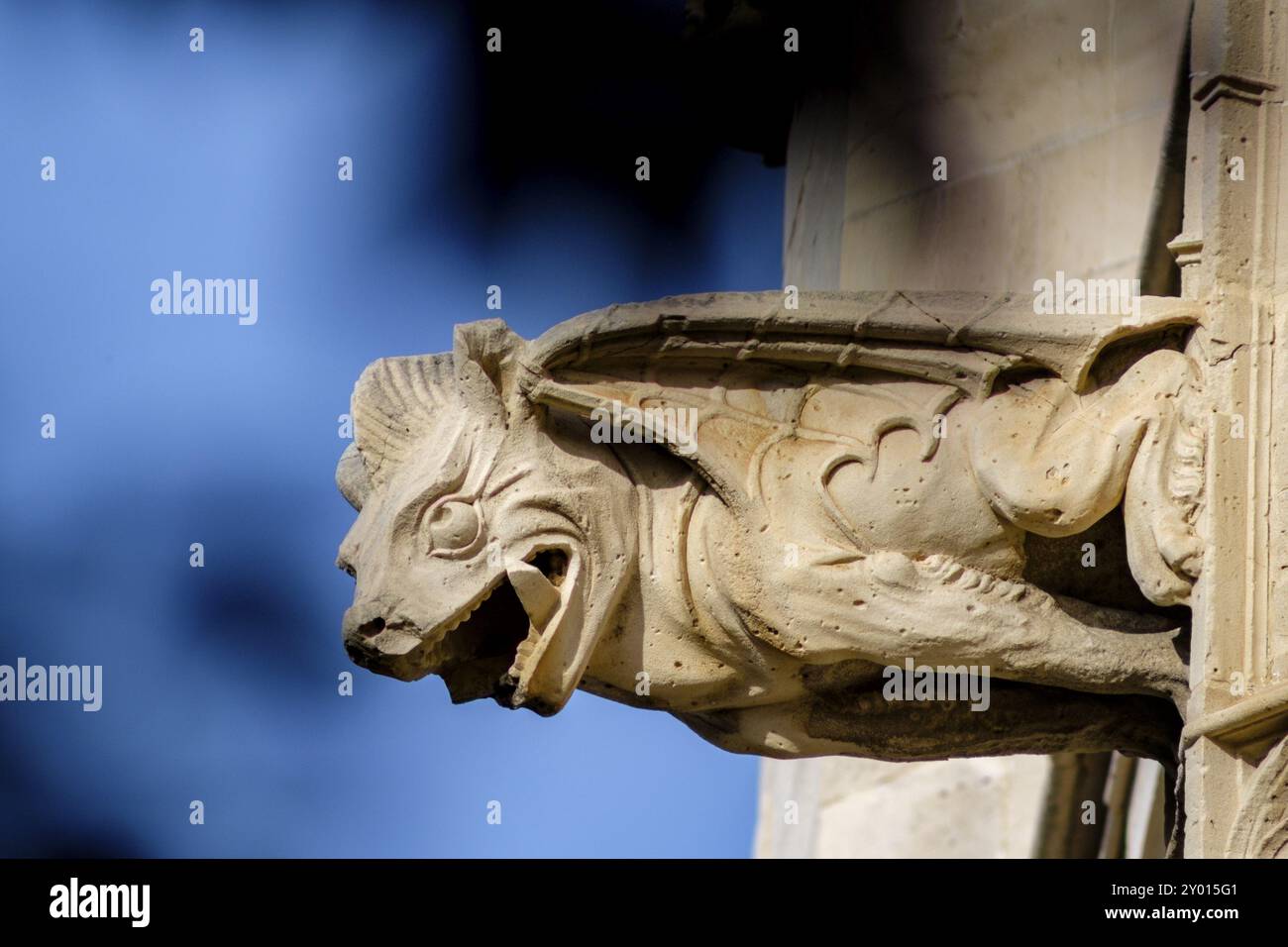 Gargola en forma de dragon, Lonja de Palma de Mallorca, sa Llotja, antigua sede del Colegio de Mercaderes, Monumento historico-artistico, construida p Banque D'Images
