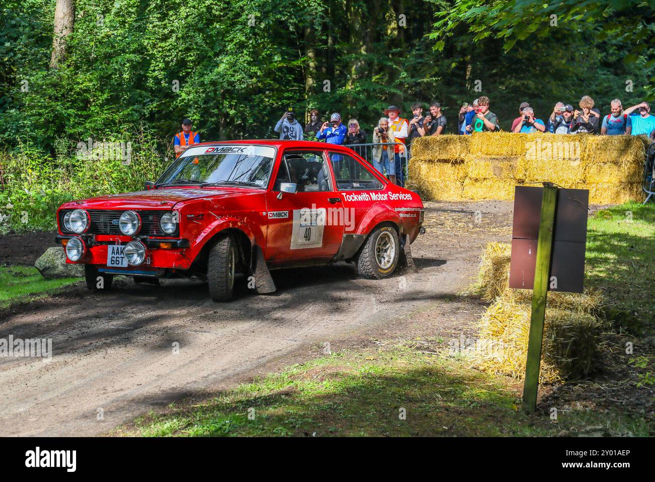 Kilmarnock, Écosse, Royaume-Uni. 31 août 2024. Kilmarnock, Royaume-Uni. Soixante-six voitures de rallye avec des équipes internationales et locales, réparties en 3 groupes ont participé au festival Lombard Rally, à travers le domaine boisé du château de Craufurdland, près de Kilmarnock, Ayrshire, Écosse, le rallye est un événement de deux jours. Crédit : Findlay/ Alamy Live News Banque D'Images