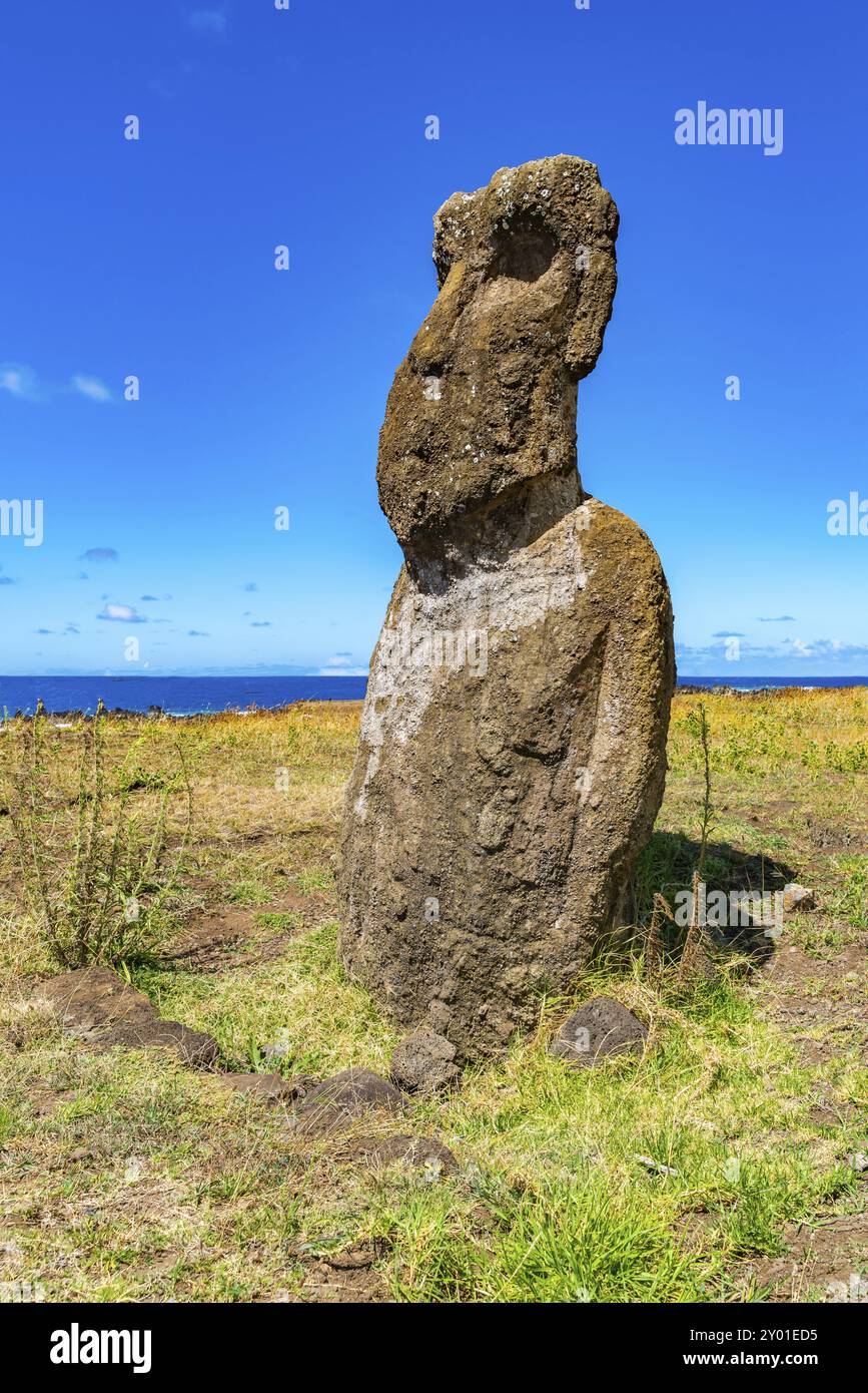 Moai dans le parc national de Rapa Nui sur l'île de Pâques au Chili Banque D'Images