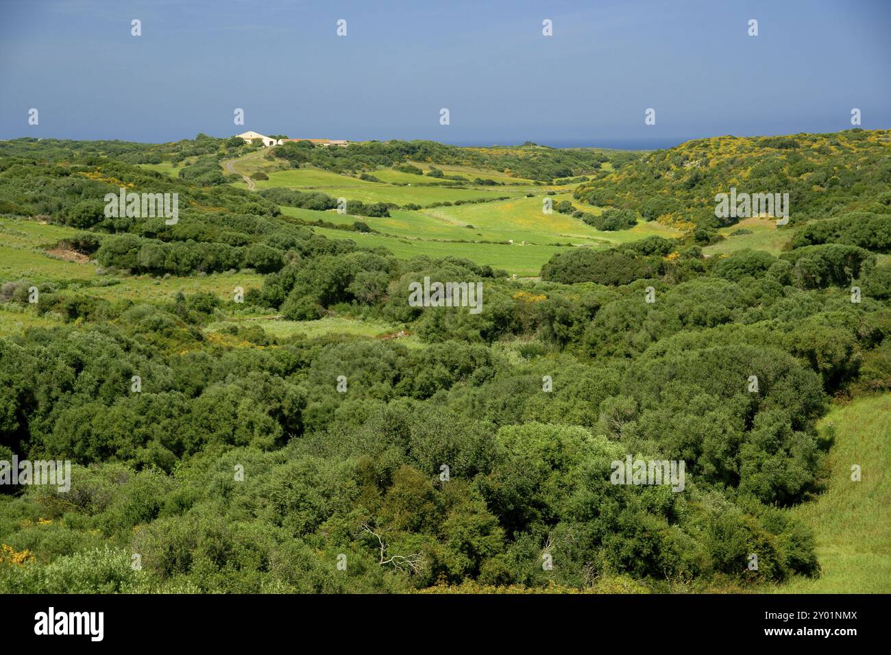 Parc Natural de s' Albufera des Grau.Menorca.Reserva de la Bioesfera. Illes Balear. Espana Banque D'Images