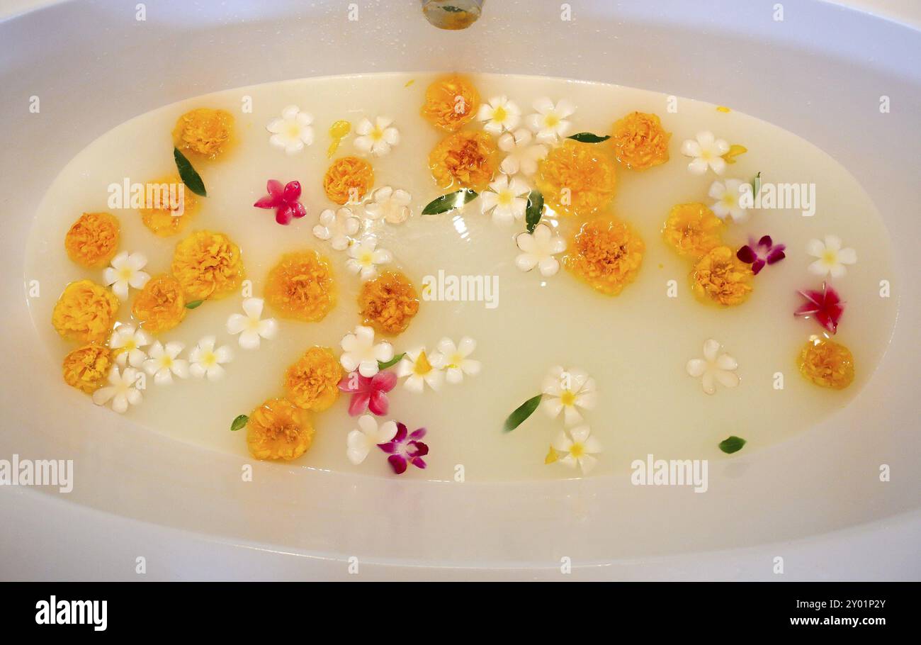 Au-dessus des fleurs fraîches flottant dans l'eau dans le bain pendant la procédure de spa à la maison Banque D'Images Au-dessus des fleurs fraîches flottant dans l'eau dans le bain pendant la procédure de spa à la maison Banque D'Images